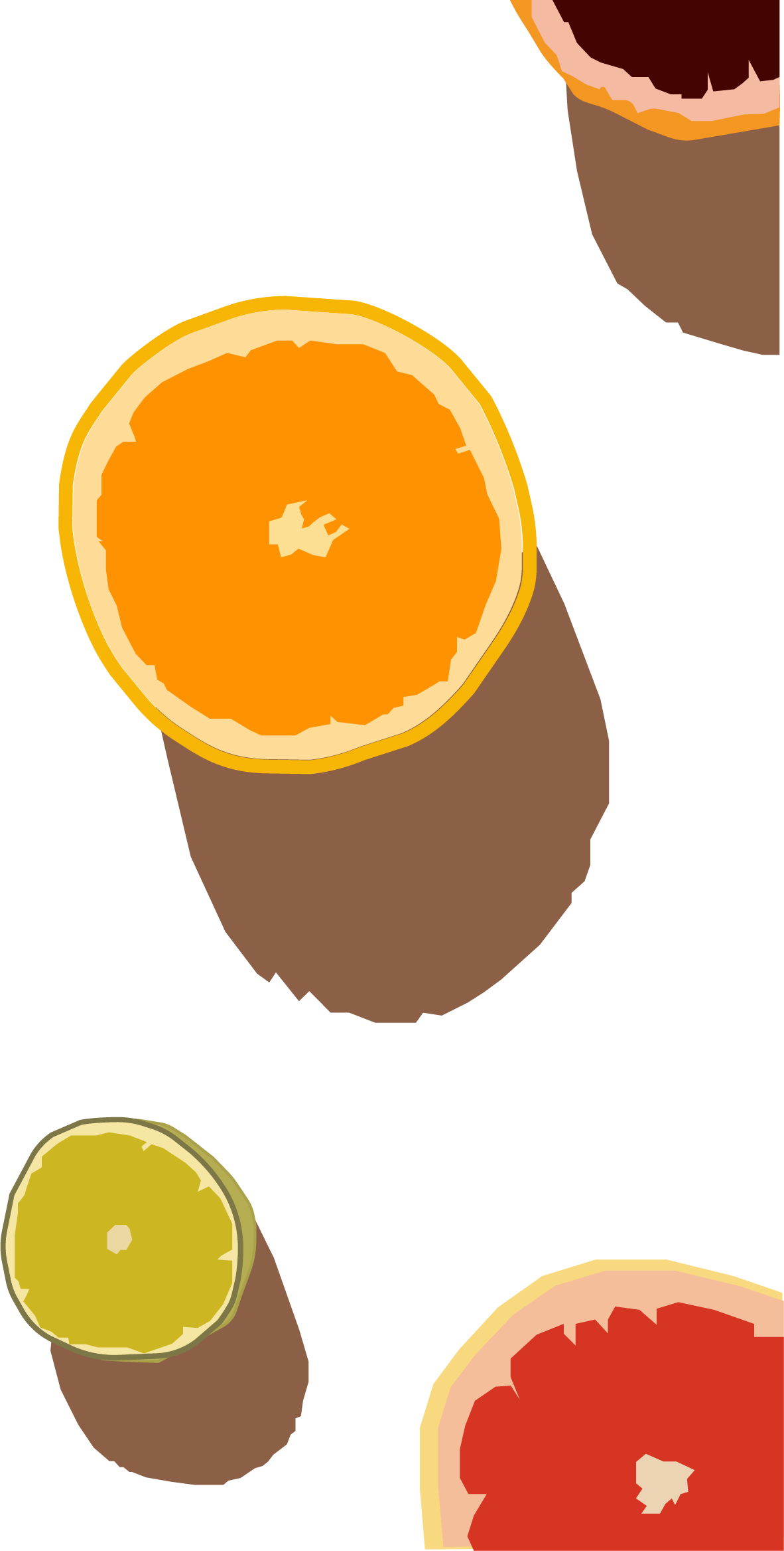 Pen tool drawing of citrus